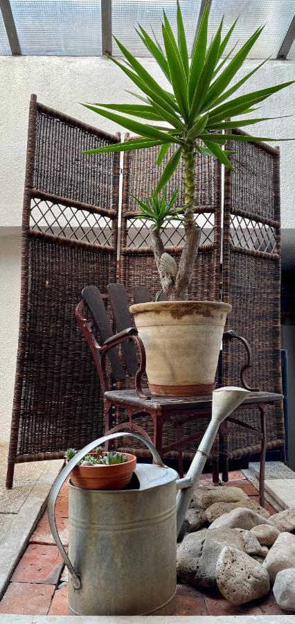 Apartments Matacin With Sea View オパティヤ エクステリア 写真